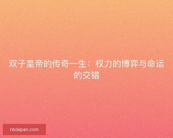 双子皇帝的传奇一生：权力的博弈与命运的交错