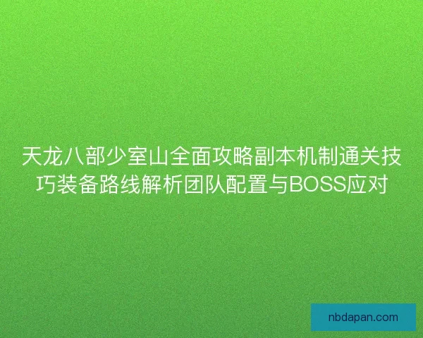 天龙八部少室山全面攻略副本机制通关技巧装备路线解析团队配置与BOSS应对